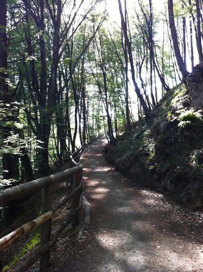 Appartamento Galet Pieve Di Ledro Extérieur photo